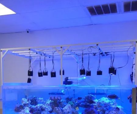 What's In Your Tank