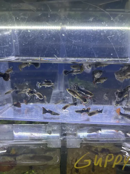What's In Your Tank Picture 8