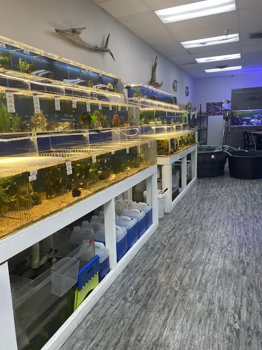 What's In Your Tank Picture 3
