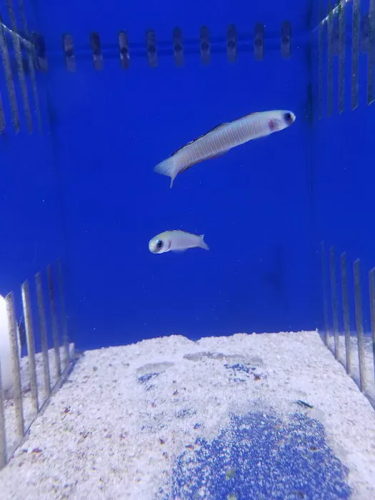 What's In Your Tank Picture 4