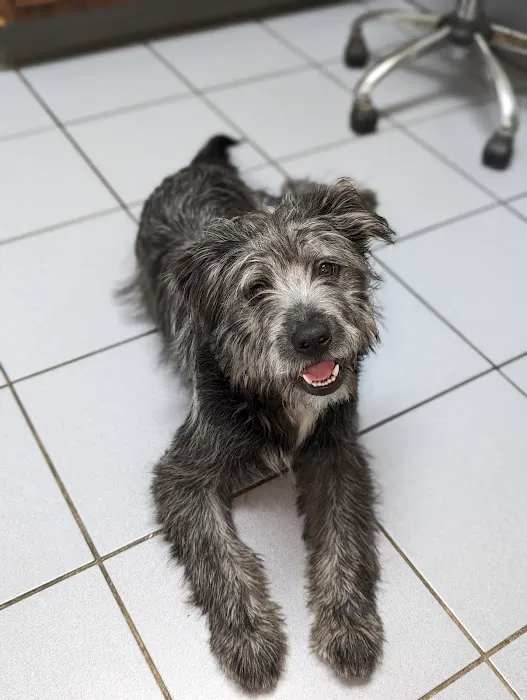 Troy Veterinary Hospital Picture 2