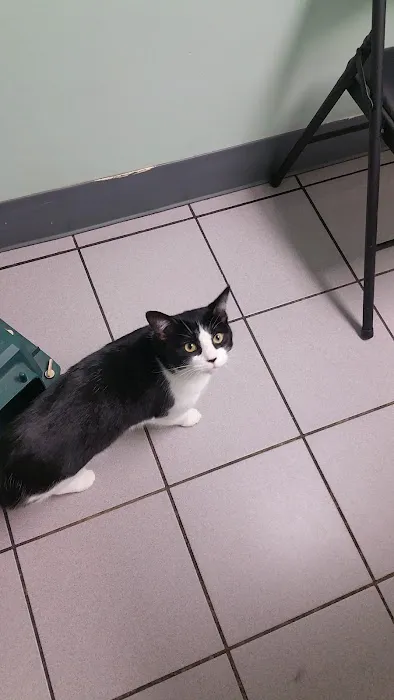 Troy Veterinary Hospital Picture 8