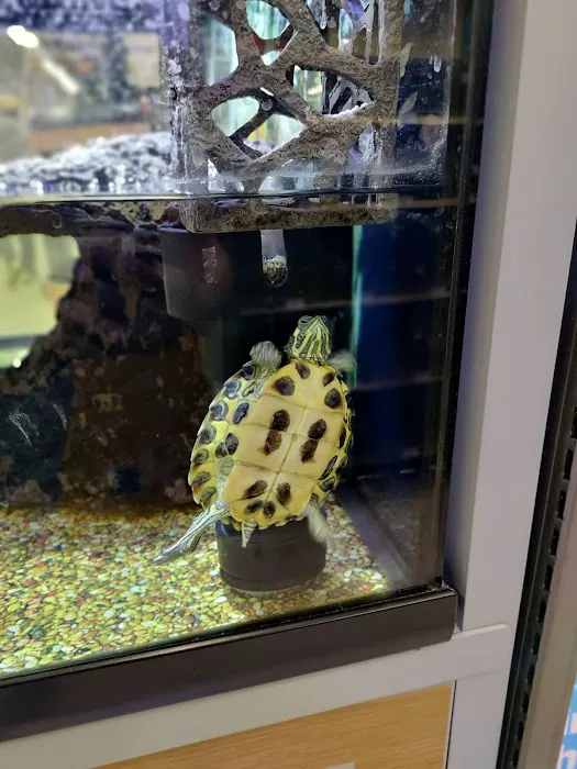 Petco Picture 5