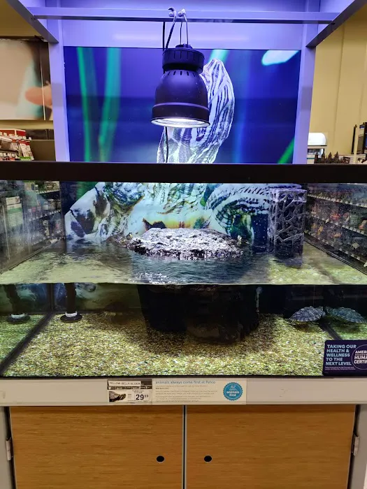 Petco Picture 6