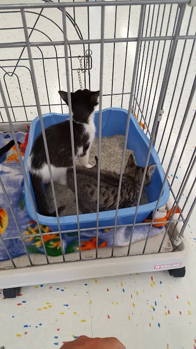 Petco Picture 10