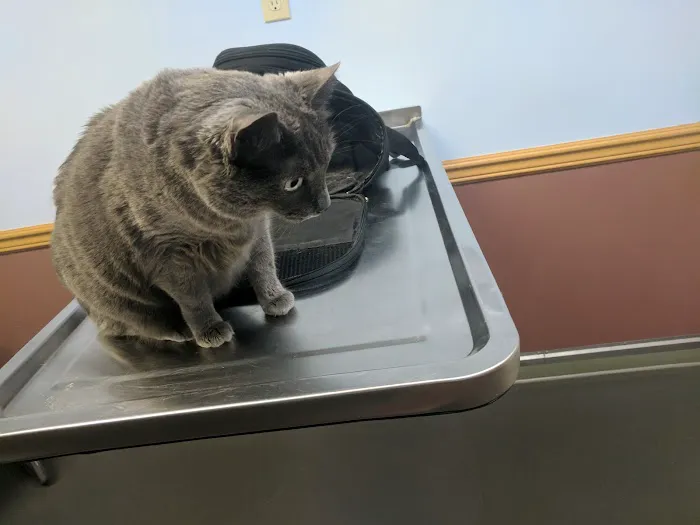 Oakwood Veterinary Clinic Picture 1