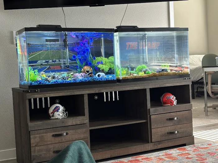 Mike Dudley Clownfish Picture 3