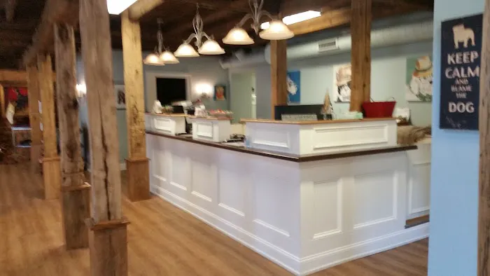 Collar City Animal Hospital Picture 7