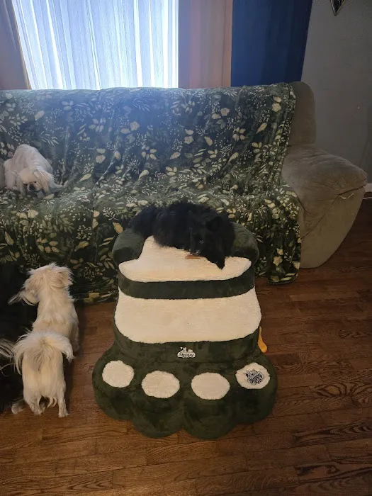 Steppy Bed Picture 1