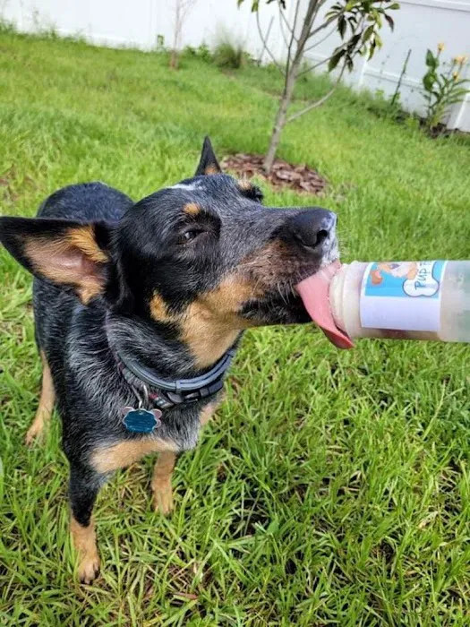 Pup Popz Picture 5