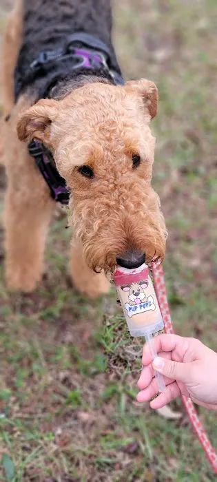 Pup Popz Picture 9
