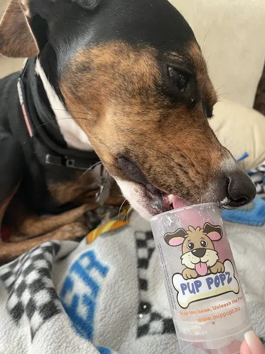 Pup Popz Picture 3