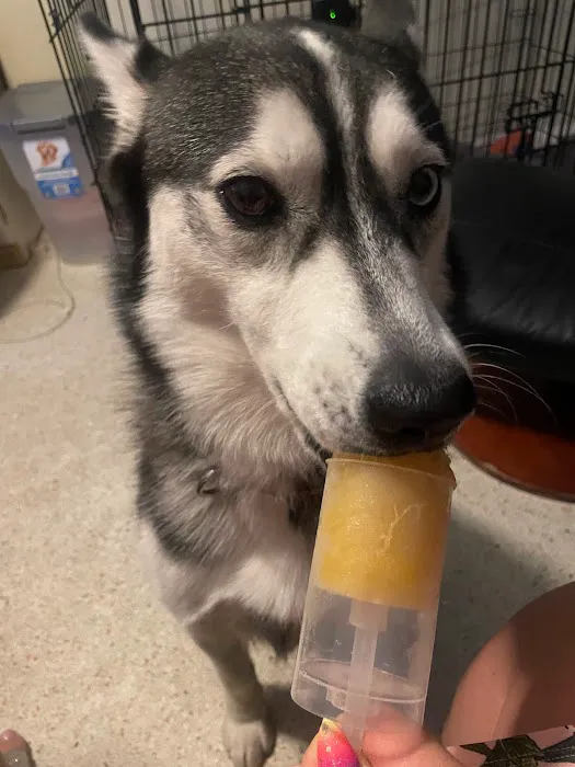 Pup Popz Picture 7