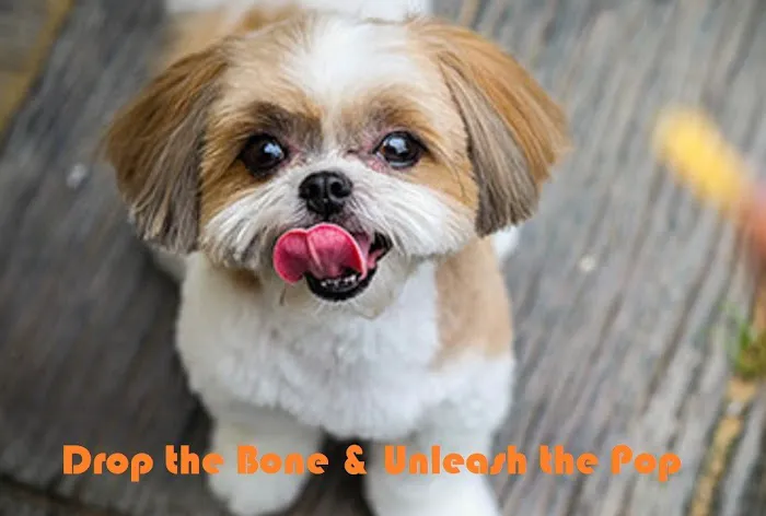 Pup Popz Picture 6