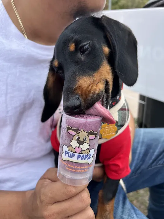 Pup Popz Picture 2