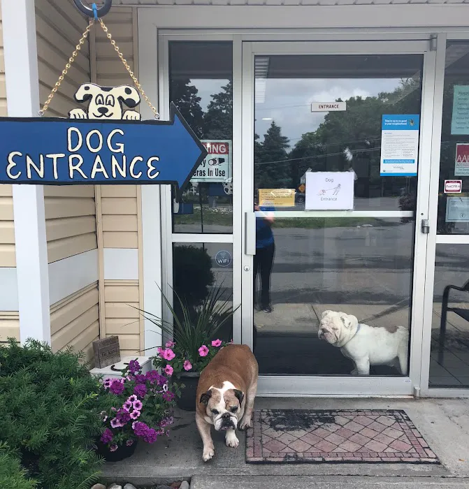 Latham Animal Hospital Picture 10