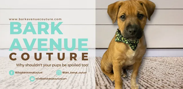 Bark Avenue Couture Picture 1