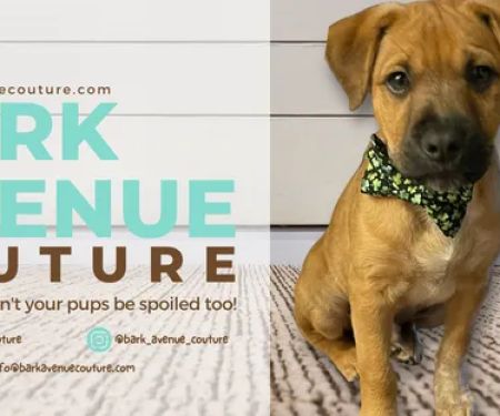 Bark Avenue Couture