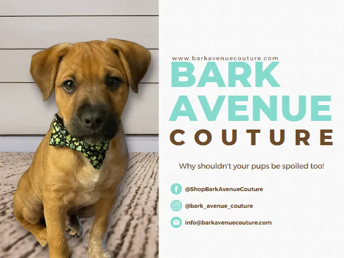 Bark Avenue Couture Picture 4