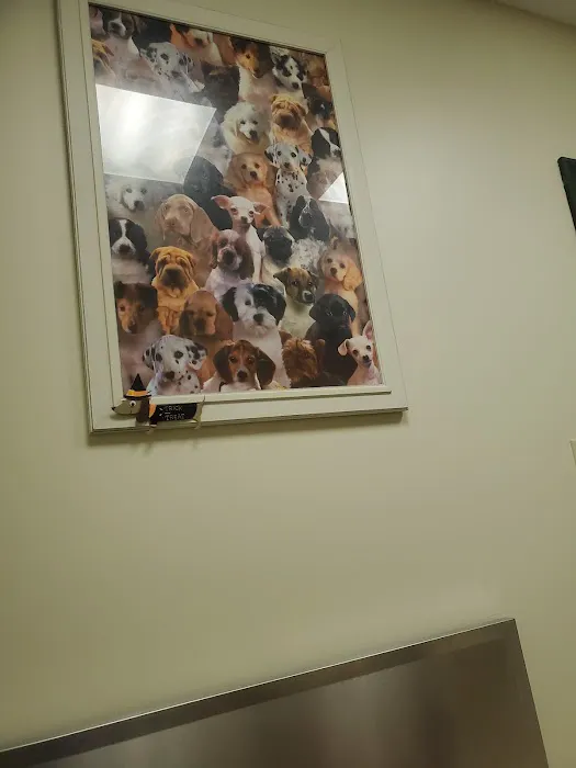 Bayberry Veterinary Care Picture 4