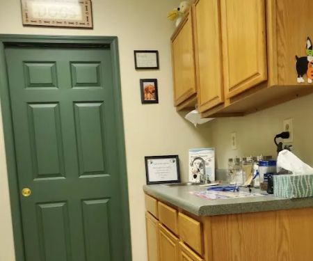 Bayberry Veterinary Care