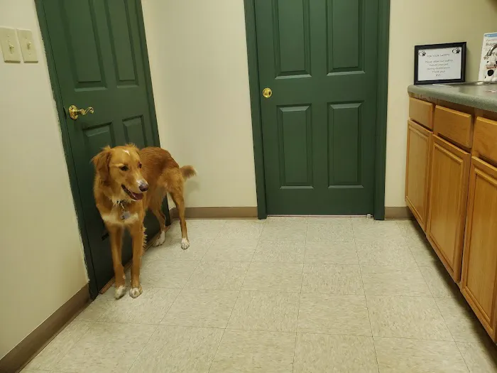 Bayberry Veterinary Care Picture 5