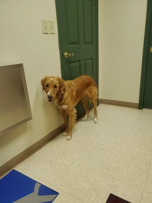Bayberry Veterinary Care Picture 3