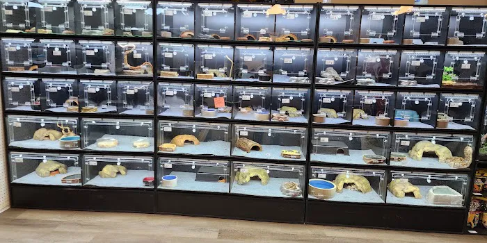 Pasco County Reptiles & Exotics Picture 6