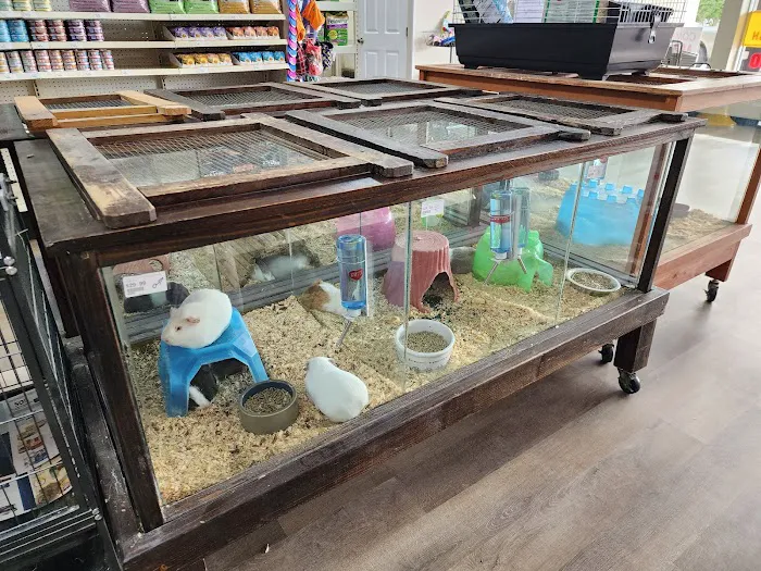 Pasco County Reptiles & Exotics Picture 4