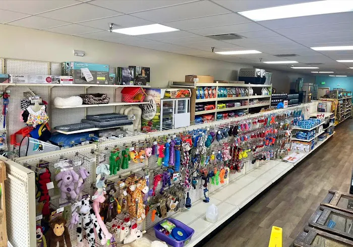 Pasco County Reptiles & Exotics Picture 5