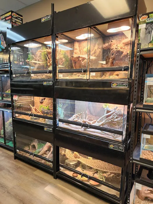 Pasco County Reptiles & Exotics Picture 7
