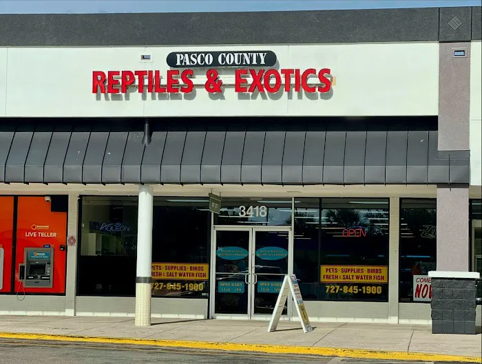 Pasco County Reptiles & Exotics Picture 1