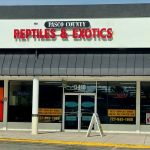 Pasco County Reptiles & Exotics