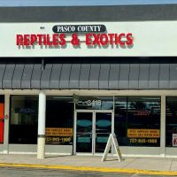 Pasco County Reptiles & Exotics ico