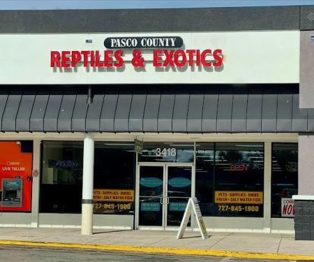 Pasco County Reptiles & Exotics