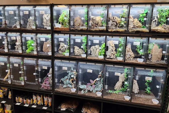Pasco County Reptiles & Exotics Picture 9