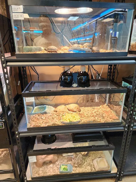 Pasco County Reptiles & Exotics Picture 8
