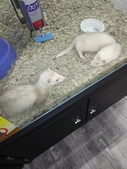 Pet Supermarket Picture 6