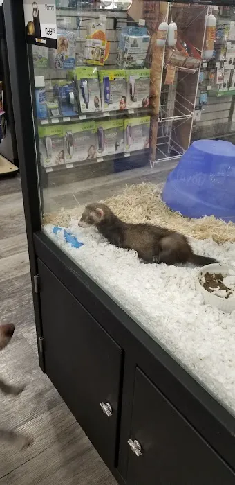 Pet Supermarket Picture 1