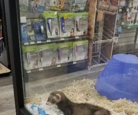 Pet Supermarket
