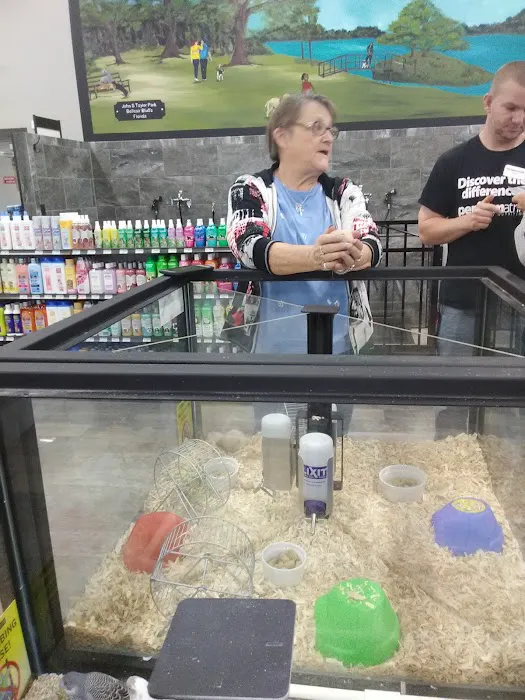 Pet Supermarket Picture 10