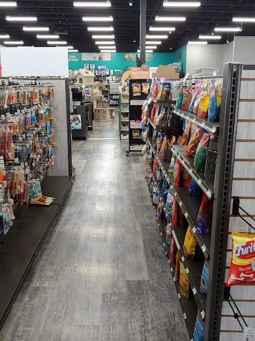 Pet Supermarket Picture 8