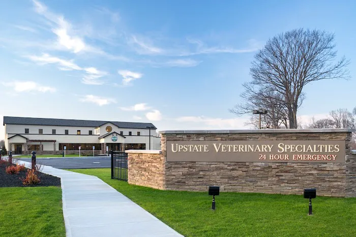 Upstate Veterinary Specialties Picture 1