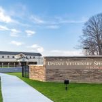 Upstate Veterinary Specialties
