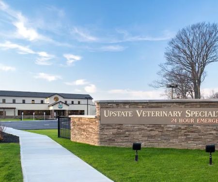 Upstate Veterinary Specialties