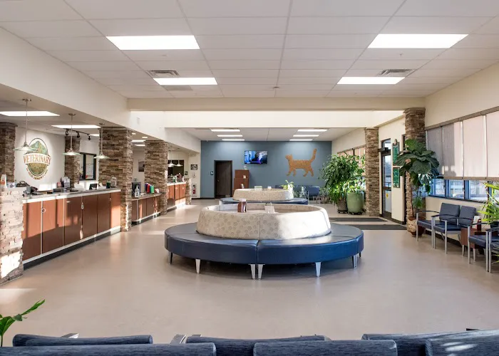 Upstate Veterinary Specialties Picture 2