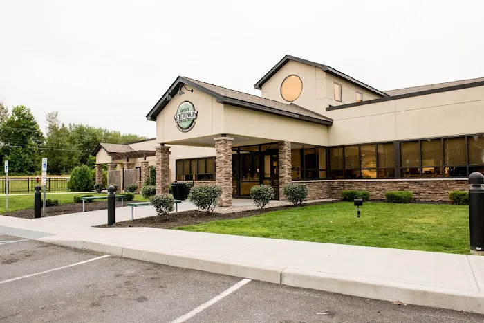 Upstate Veterinary Specialties Picture 10