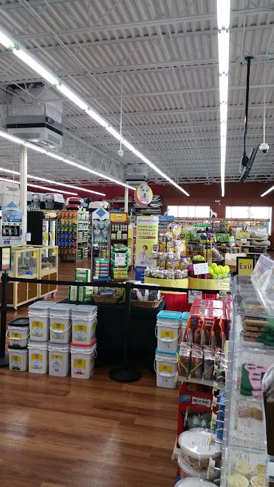 Pet Supermarket Picture 9