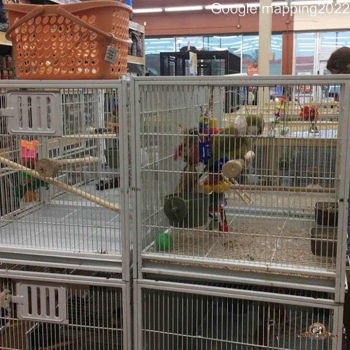 Pet Supermarket Picture 4