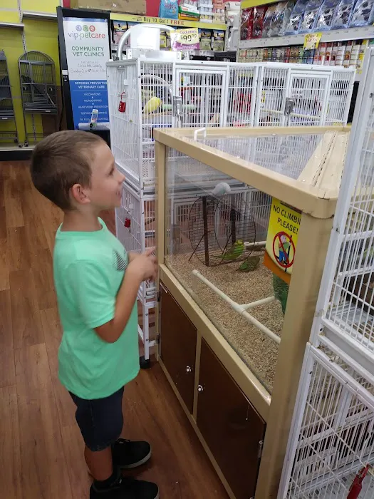 Pet Supermarket Picture 10